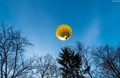 Aufgestiegen dem Himmel entgegen (3)