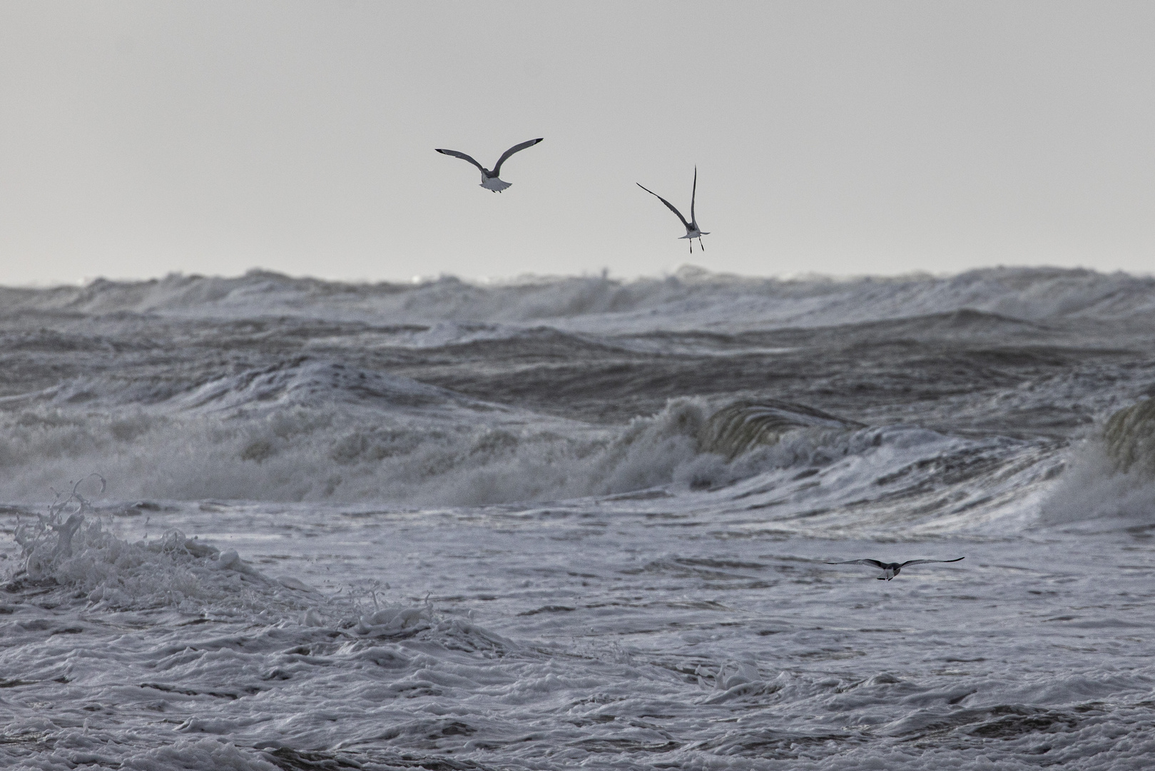 Aufgewühlte Nordsee