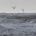 Aufgewühlte Nordsee