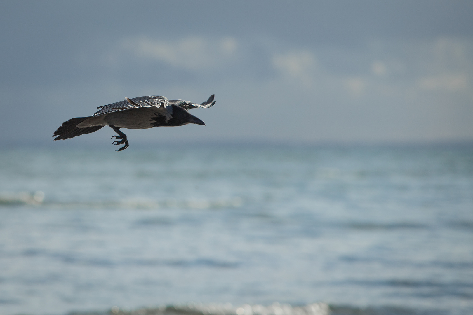 Aufklärungsflug