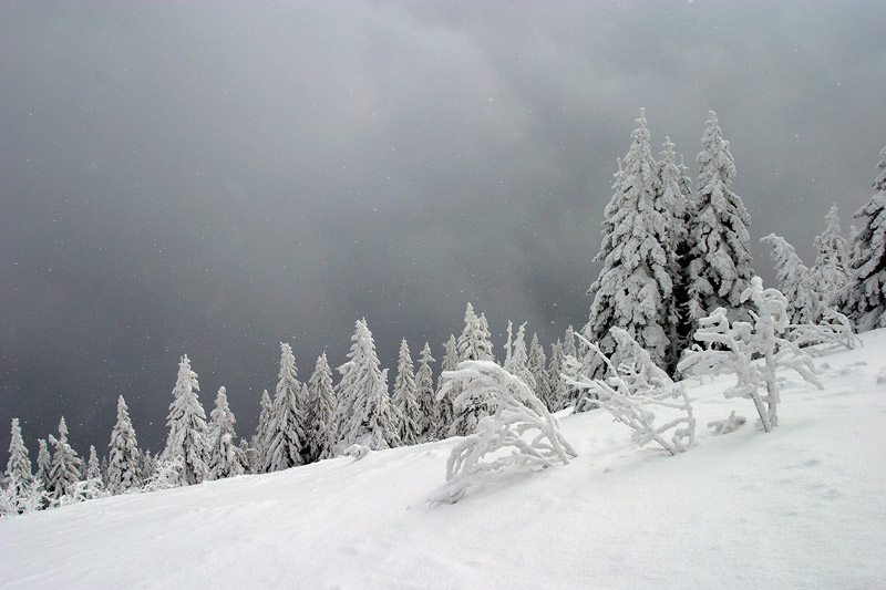 Aufkommende Schneefront am Gr. Arber