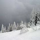 Aufkommende Schneefront am Gr. Arber