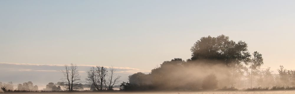 aufkommender Morgen