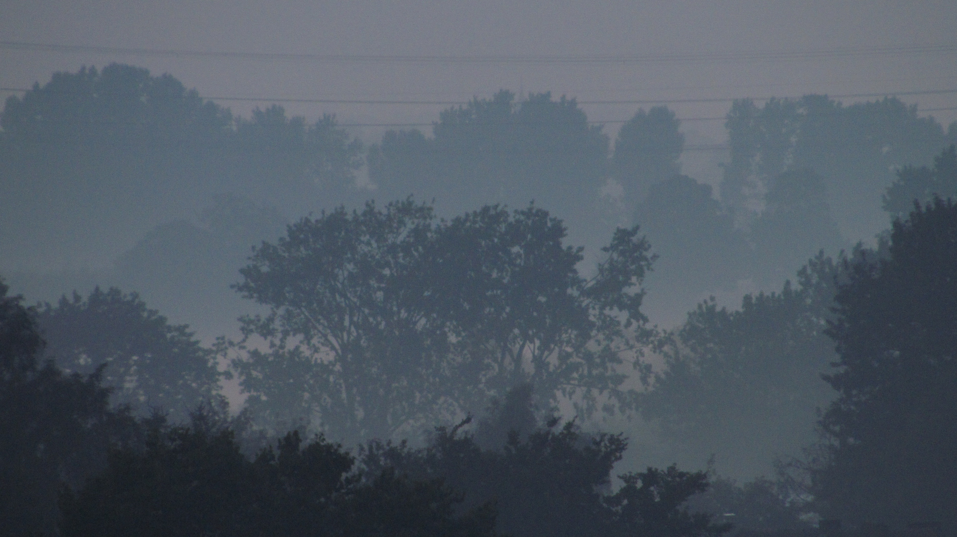 aufkommender Nebel