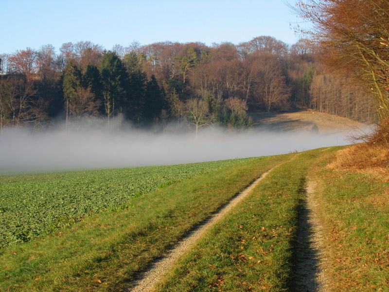 Aufkommender Nebel