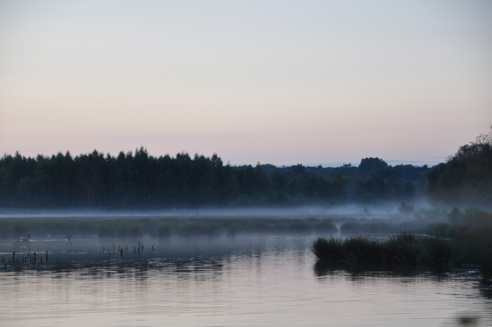 Aufkommender Nebel im Himmelmoor