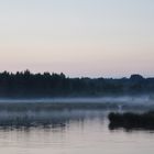 Aufkommender Nebel im Himmelmoor