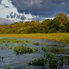 Aufkommendes Gewitter am Rio Apure