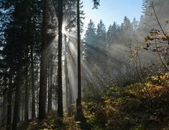 Auflösung des Nebels