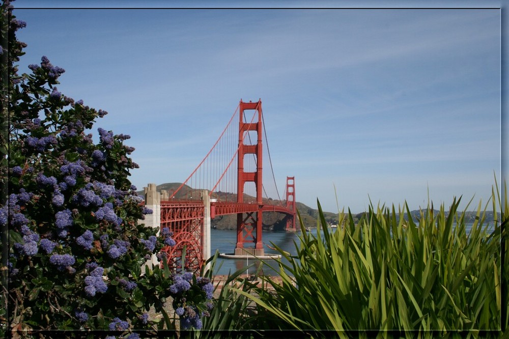 Auflösung des Rätsels: die Golden Gate an einem herrlichen Frühlingstag