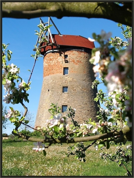 Auflösung....von "Stillgelegt"