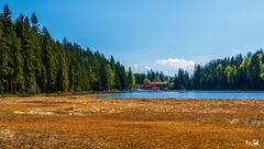 Aufm Arbersee do gibts koa Sünd - Bayern496