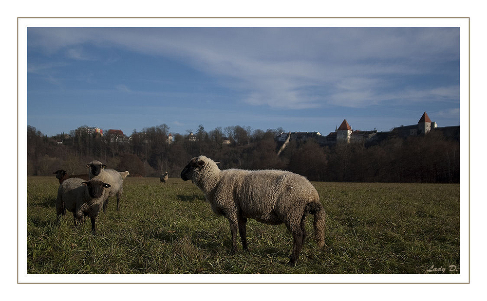 auf`m Bergerhof