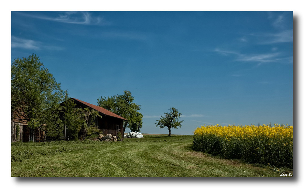 auf`m Land