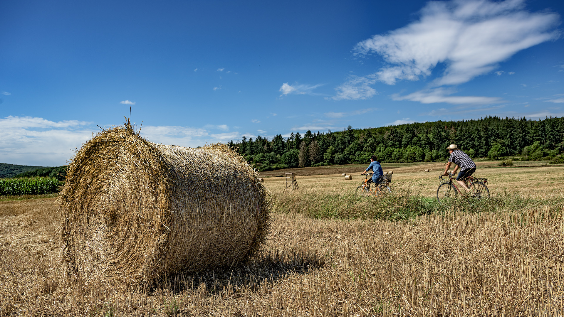 auf`m Land