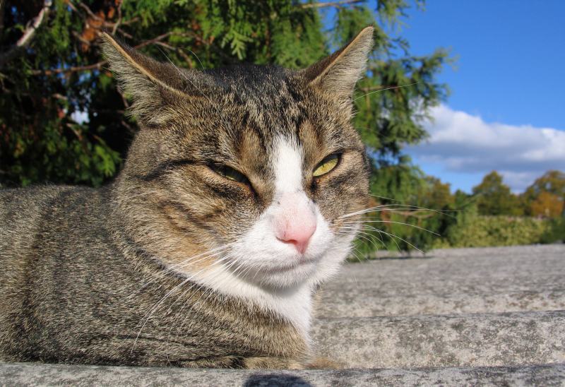 Auf´m Sonnendeck