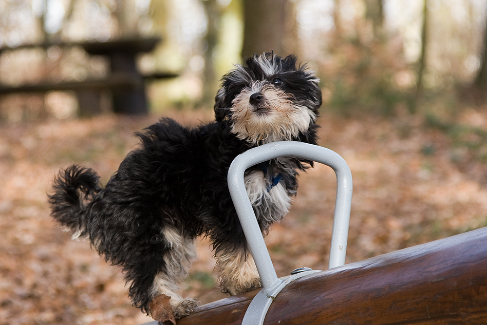 Auf´m Spielplatz....