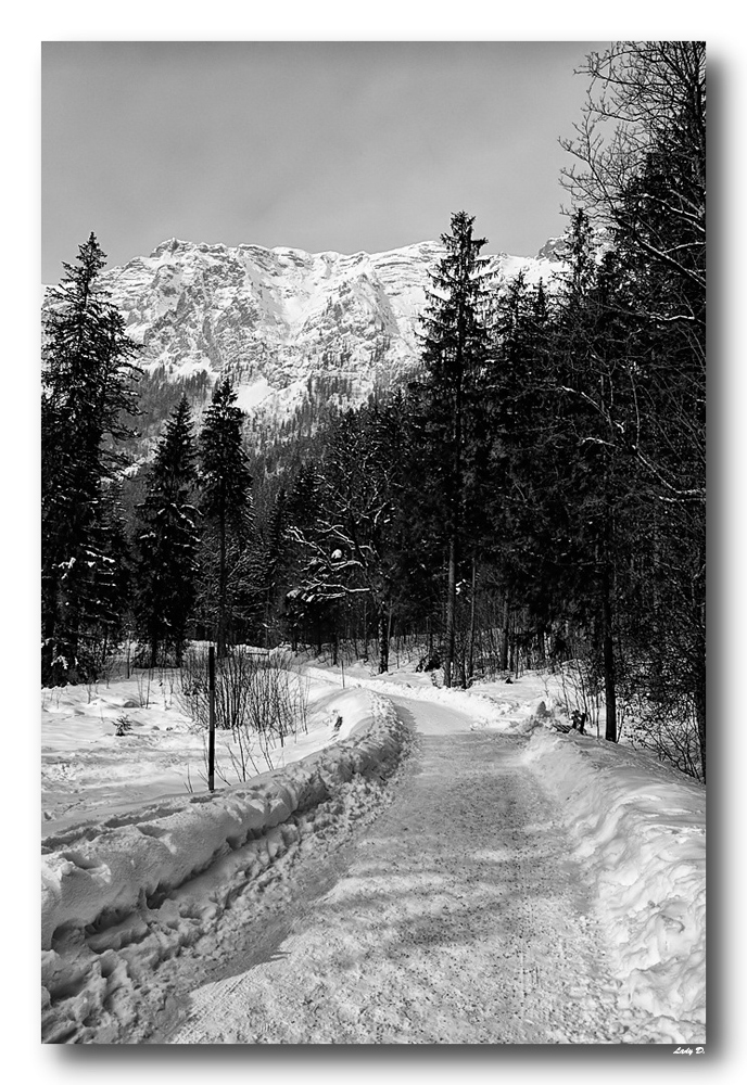 auf`m Weg zum Zauberwald