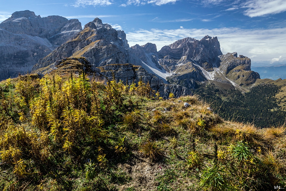 Auf´m Zwölfer