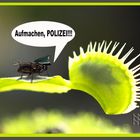 Aufmachen! Polizei!