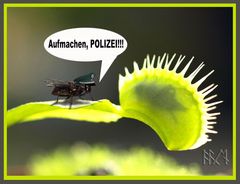 Aufmachen! Polizei!