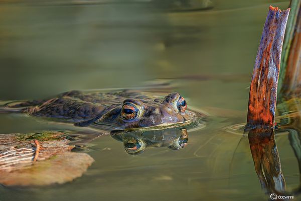 Aufmerksam und vorsichtig