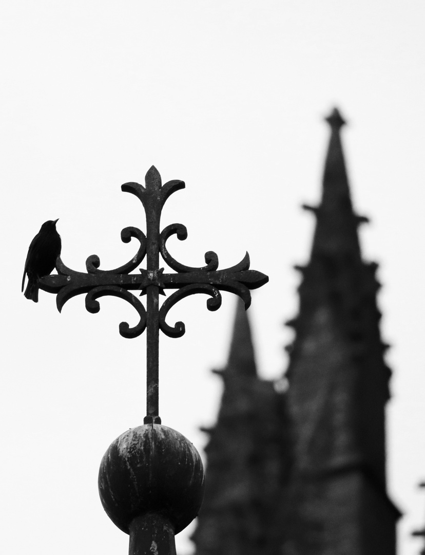 Aufnahme am Mont Saint Michel... 