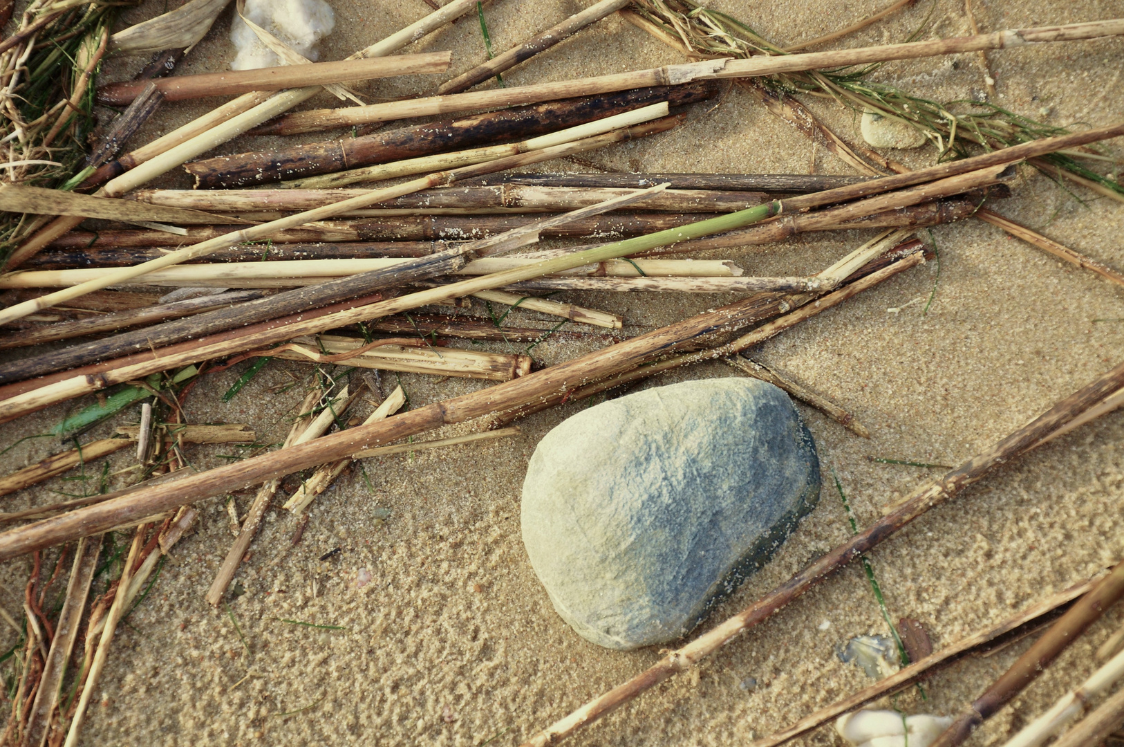 Aufnahme am Strand