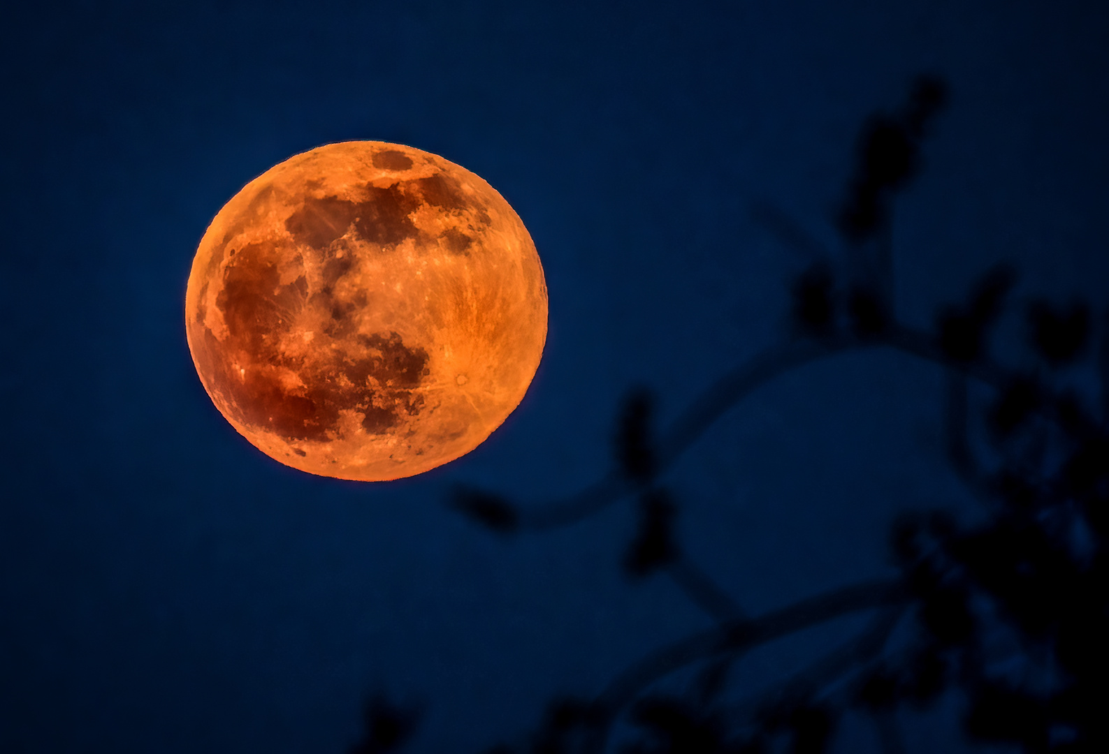 AUFNAHME VOM 16.04.2022 um 20:25 Uhr