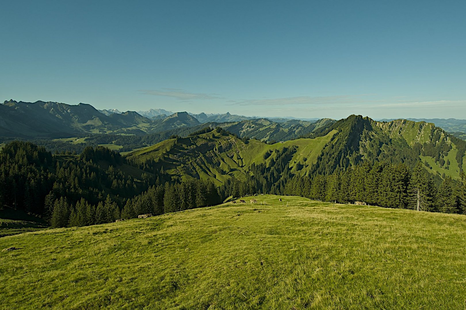 Aufnahme vom Kronberg