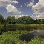 Aufquellende Wolken