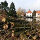 Aufräumen, damit der Frühling ein bisschen Platz findet!