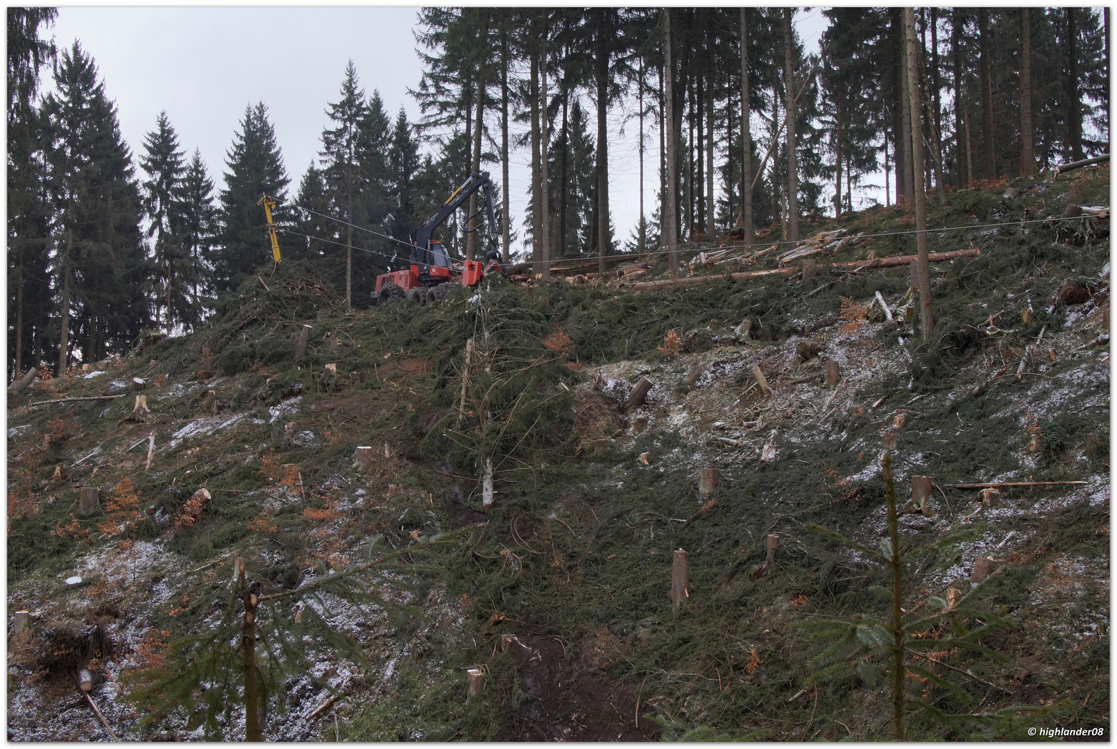 Aufräumen im Vogtlandwald