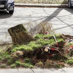 Aufräumen nach dem Sturm