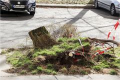 Aufräumen nach dem Sturm