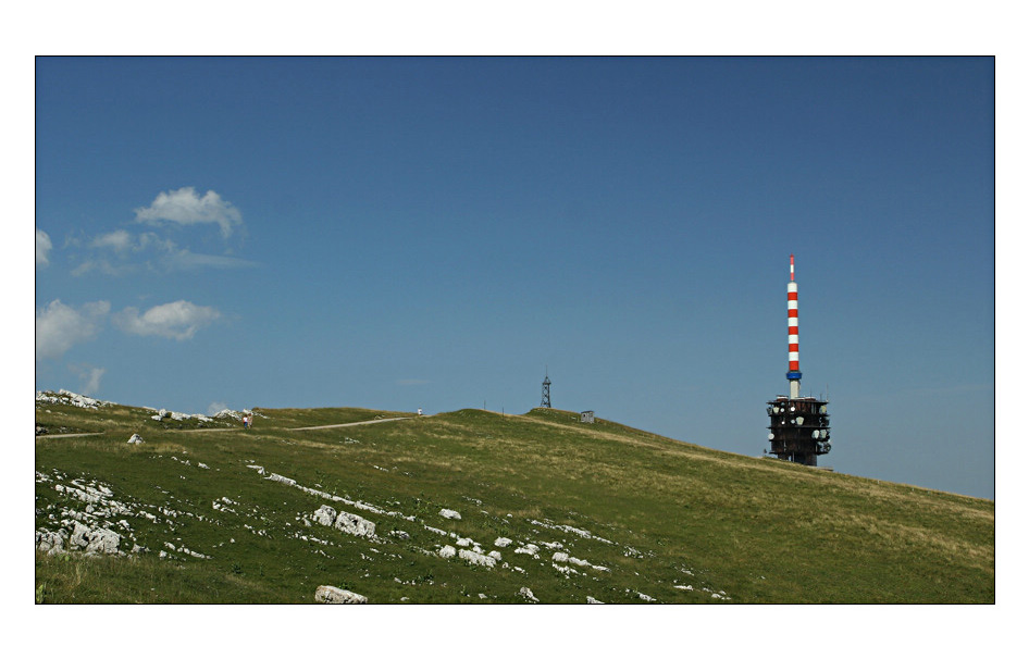 Aufrecht in karger Landschaft...