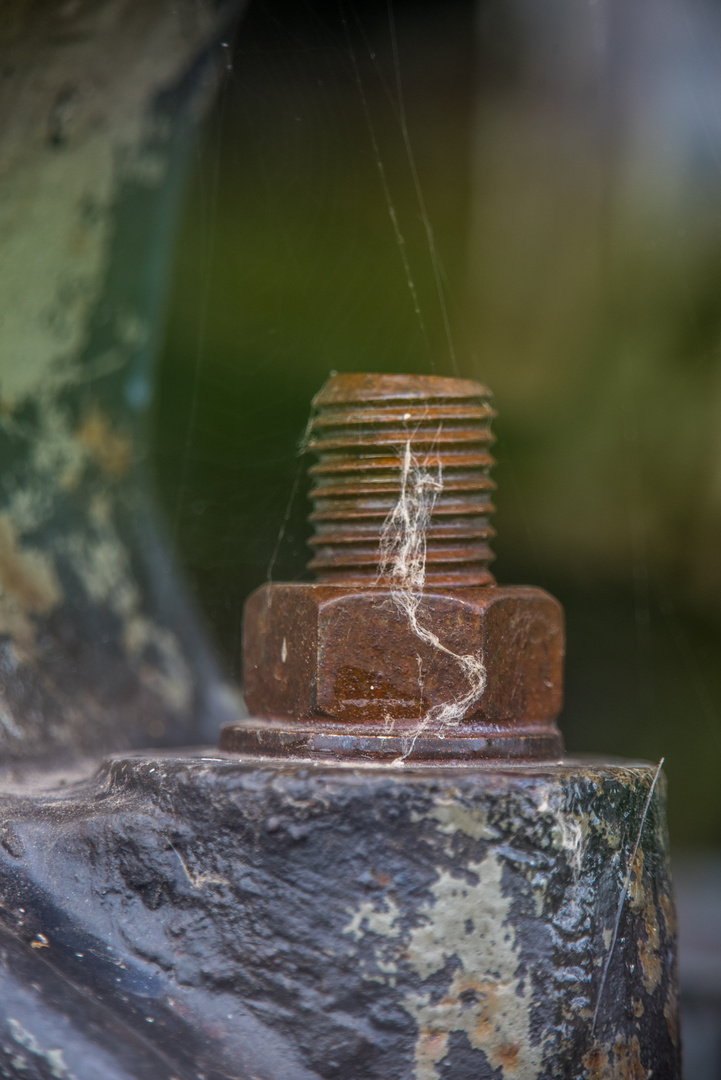 aufrecht stehen auch im Alter Foto & Bild projekte, 3