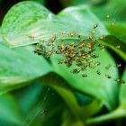 Aufregung im Kinderhort