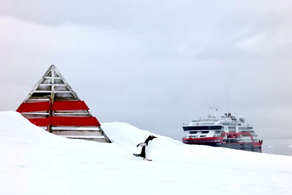 Aufregung in der Antarktis