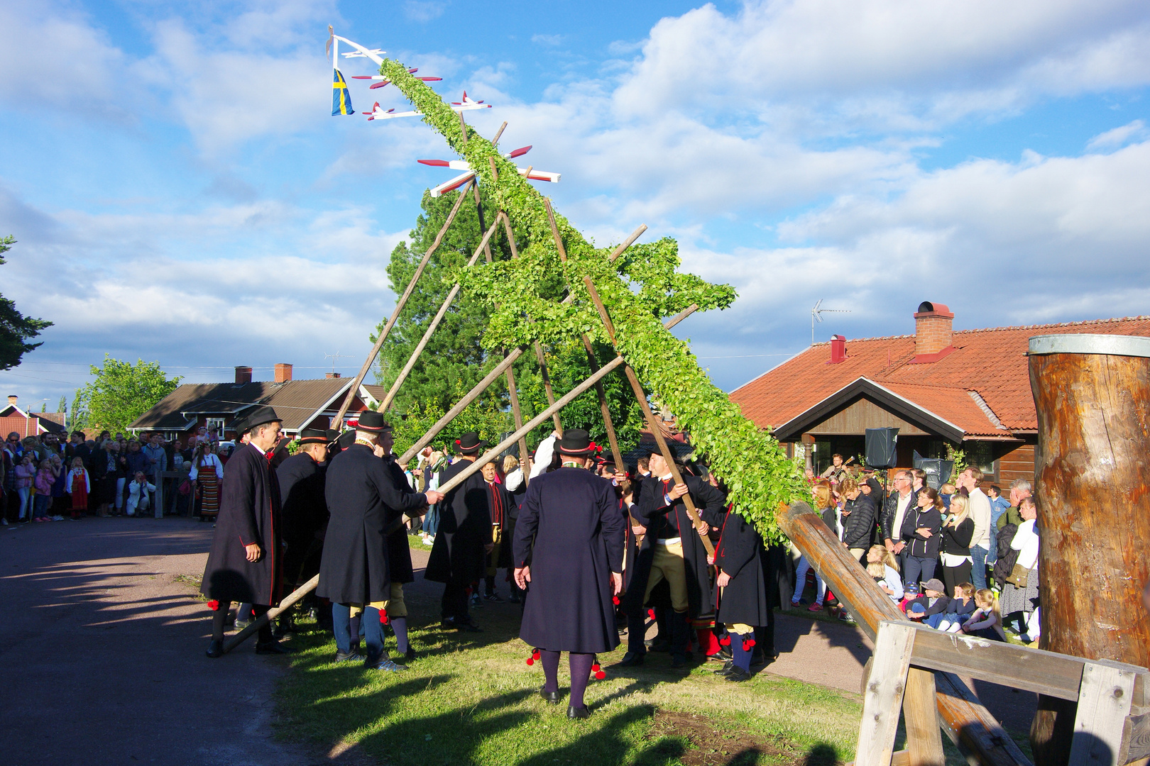 Aufrichten der Midsommarstång oder majstång in Vikarbyn