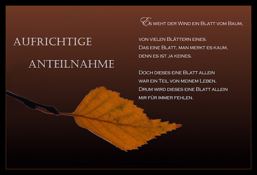 Aufrichtige Anteilnahme... Foto & Bild *glück karten* Bilder auf