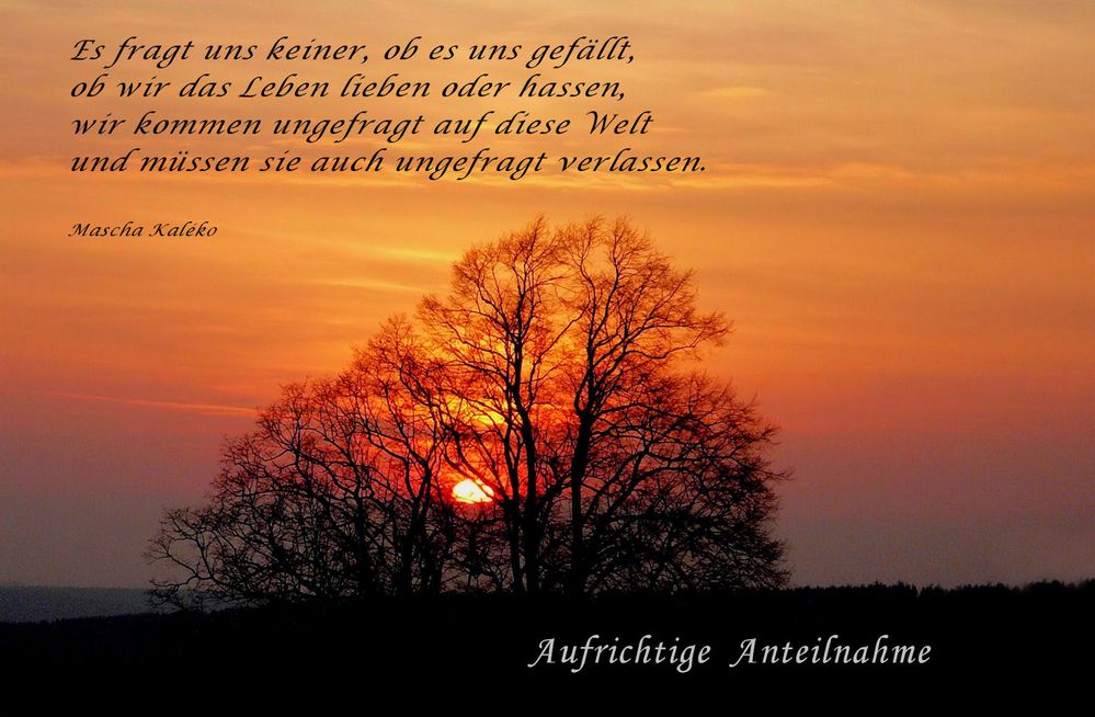 Aufrichtige Anteilnahme.. Foto & Bild | *glück karten* Bilder auf