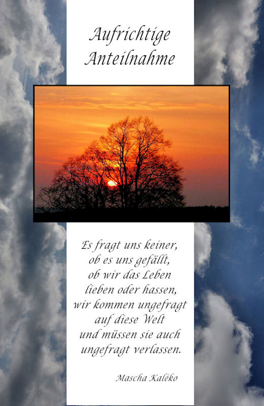 Aufrichtige Anteilnahme Foto & Bild *glück karten* Bilder auf