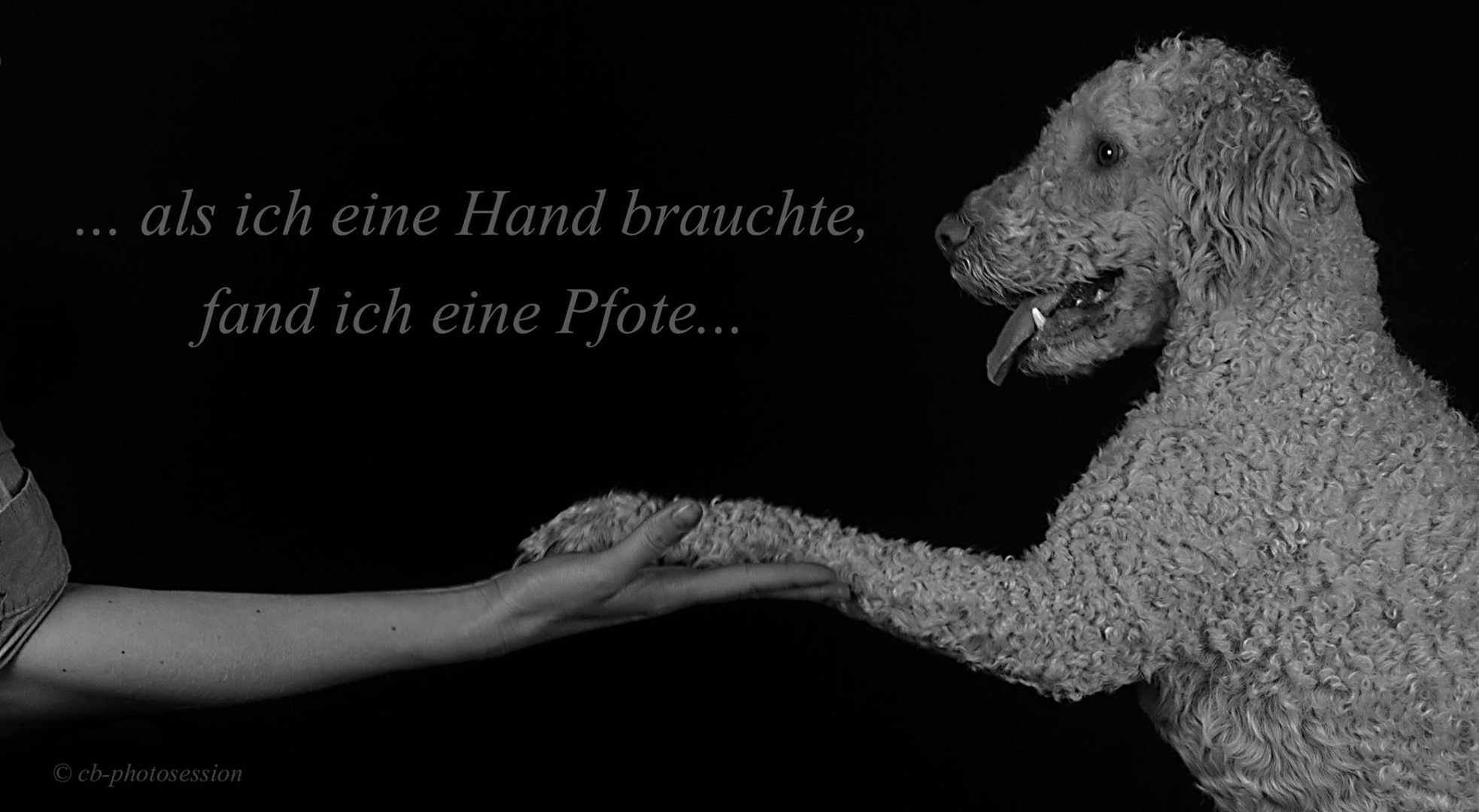 ...aufrichtige Freundschaft...