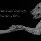 ...aufrichtige Freundschaft...