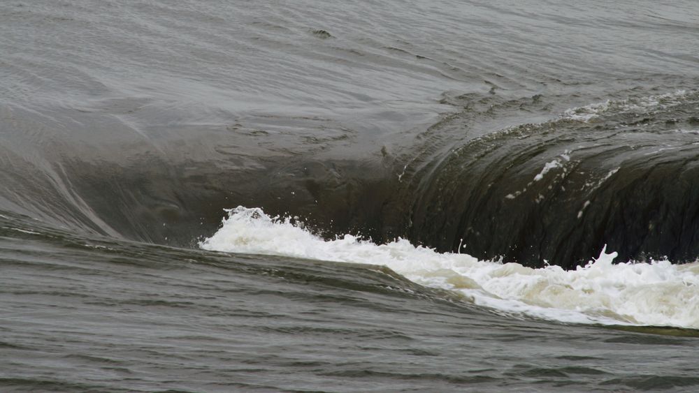 Aufruhr im Eider-Wasser