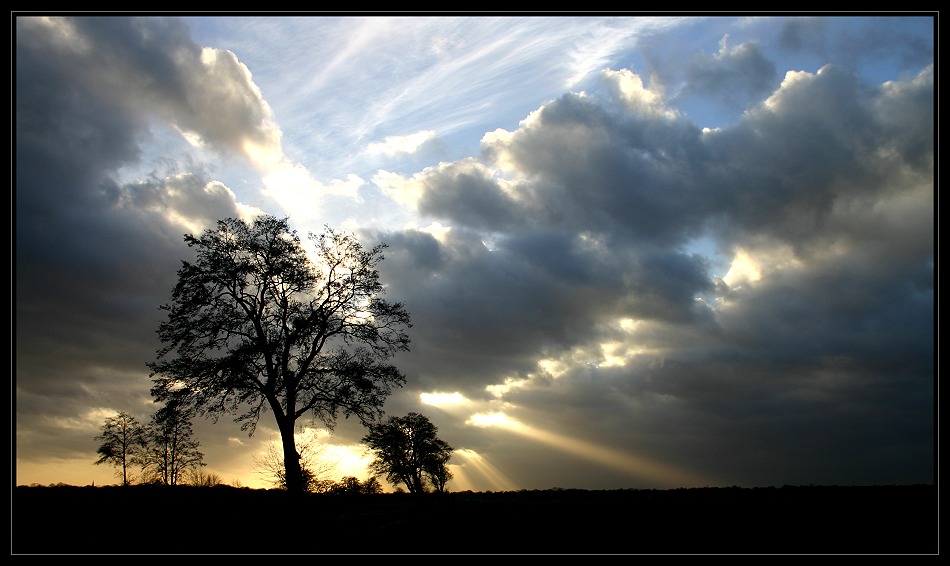 Aufruhr in den Wolken (Seebebenhilfe)