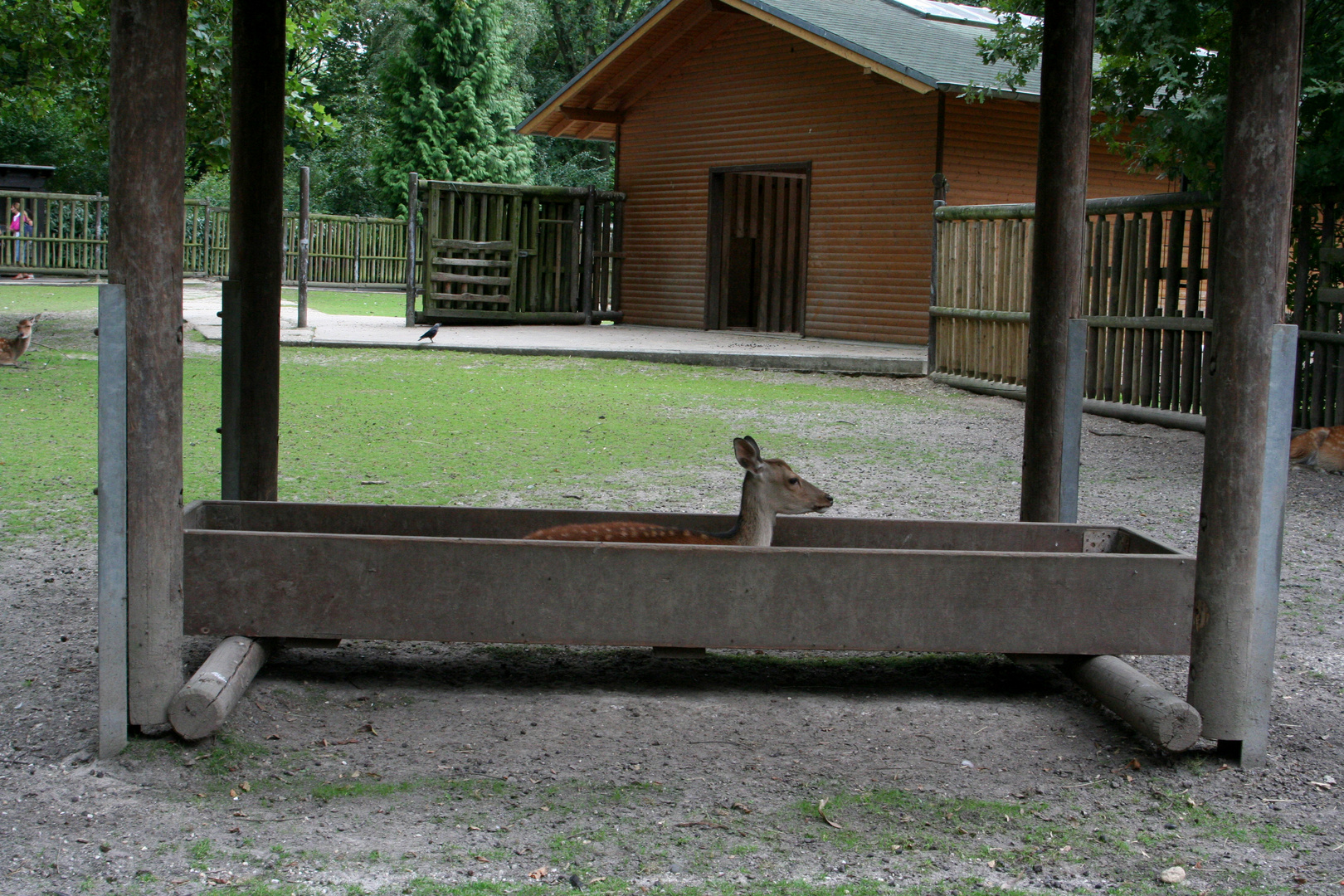 Auf`s Essen warten............