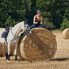 Auf's falsche Pferd gesetzt