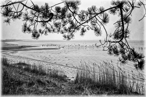 AUFS WATT GEBLICKT....